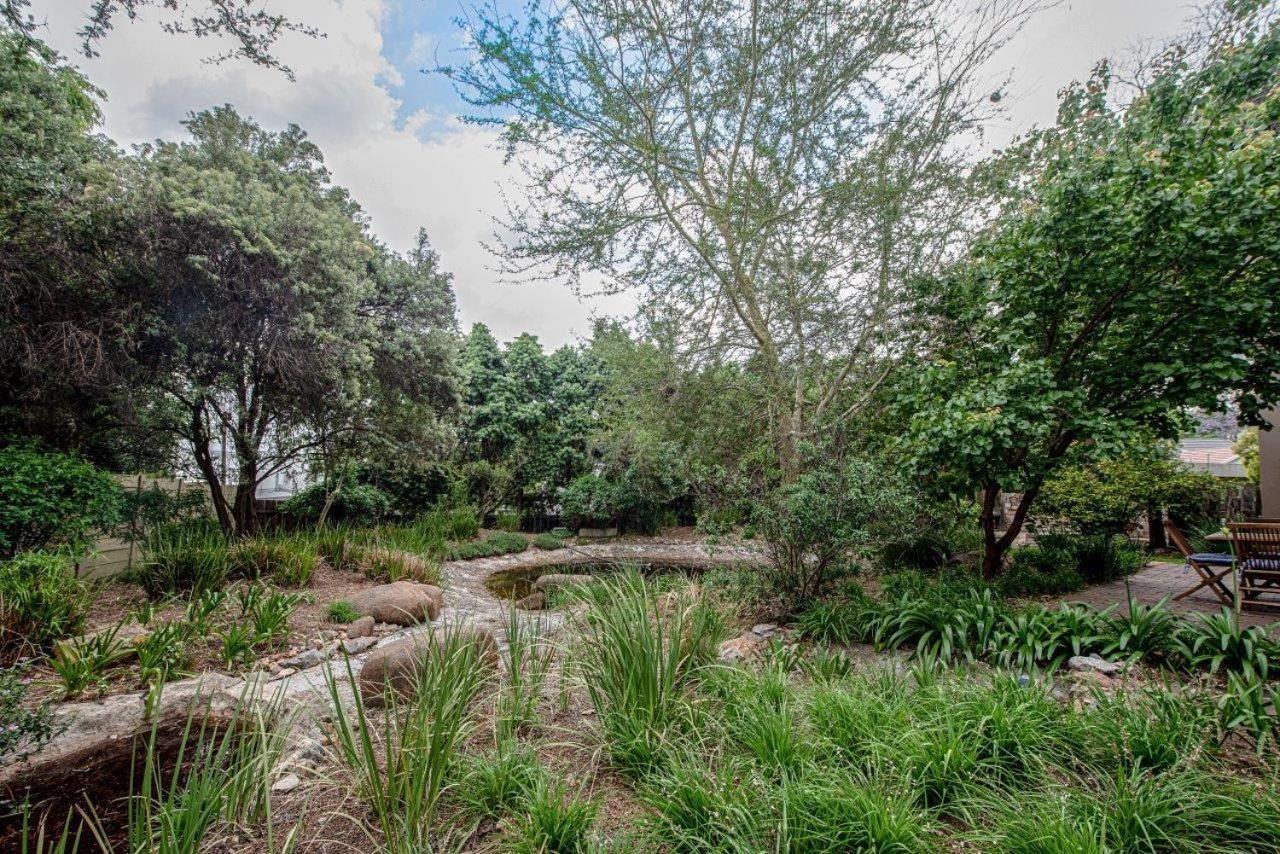 Wild Olive Executive Suite Johannesburg Eksteriør billede