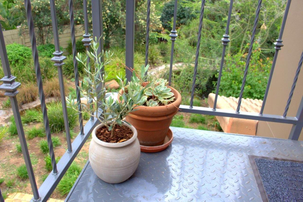 Wild Olive Executive Suite Johannesburg Eksteriør billede