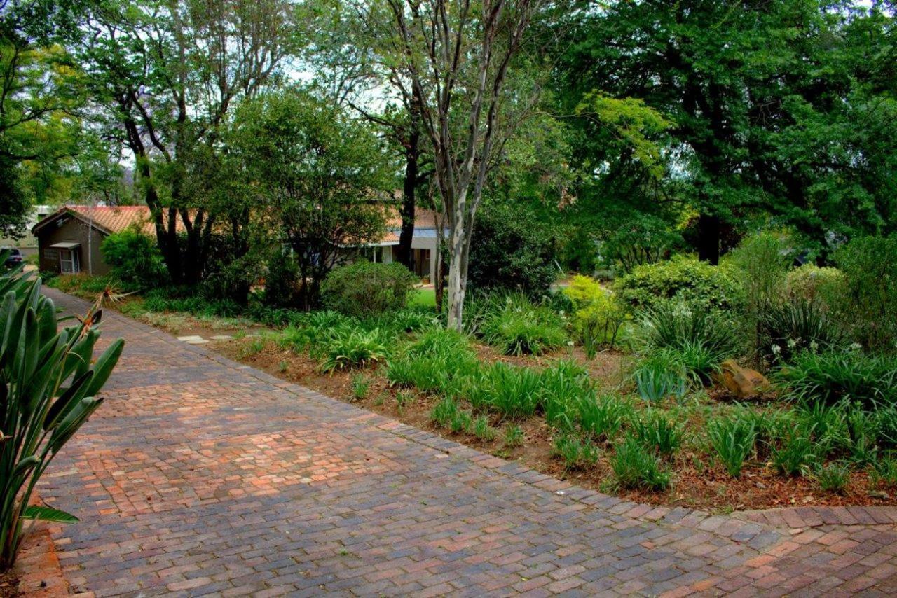 Wild Olive Executive Suite Johannesburg Eksteriør billede