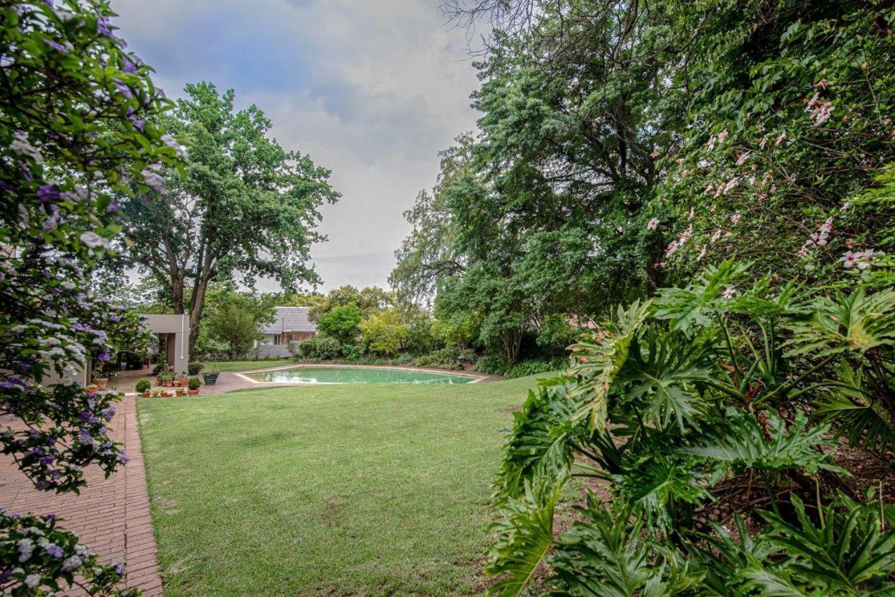 Wild Olive Executive Suite Johannesburg Eksteriør billede