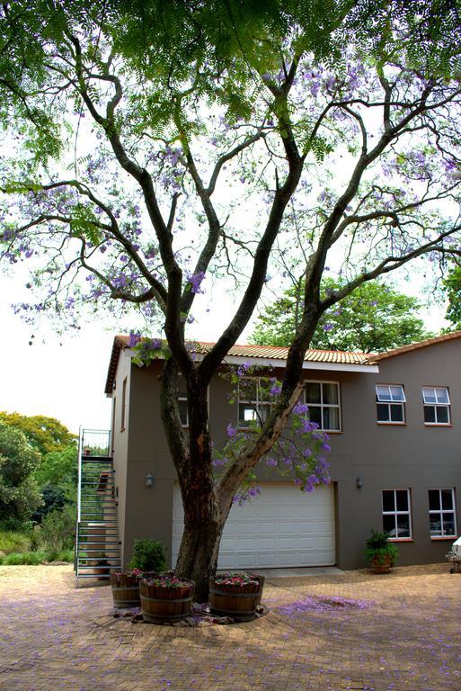 Wild Olive Executive Suite Johannesburg Eksteriør billede